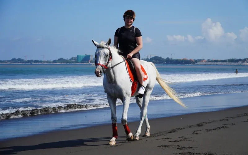 Experience Sanur Horse Riding – Unforgettable Coastal