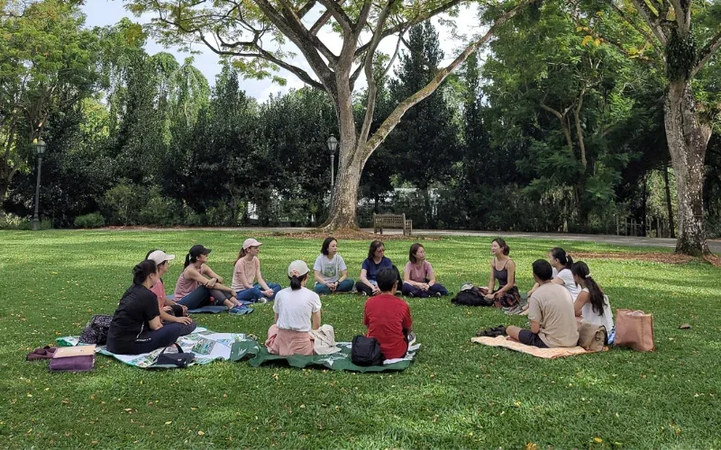 Forest Bathing Experiences: Tranquil Escapes Near Denpasar